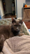 Mindy - Photo 4