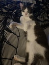 Coco - Photo 2