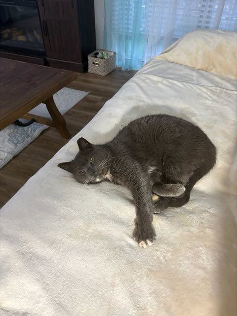 PawPaw, photo 6