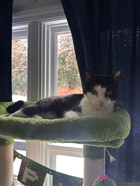 Kiki