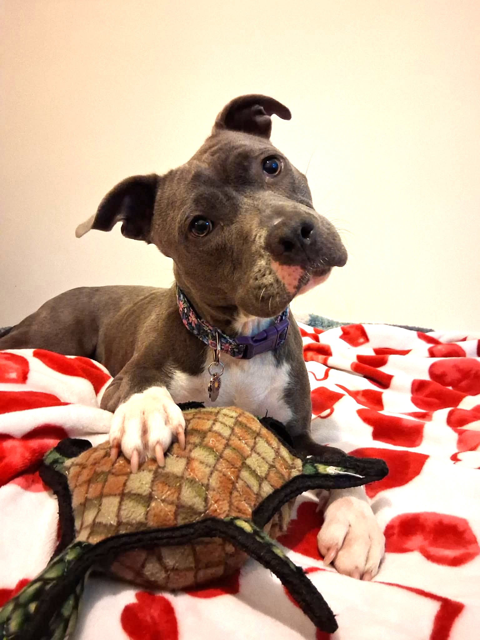 Marcie