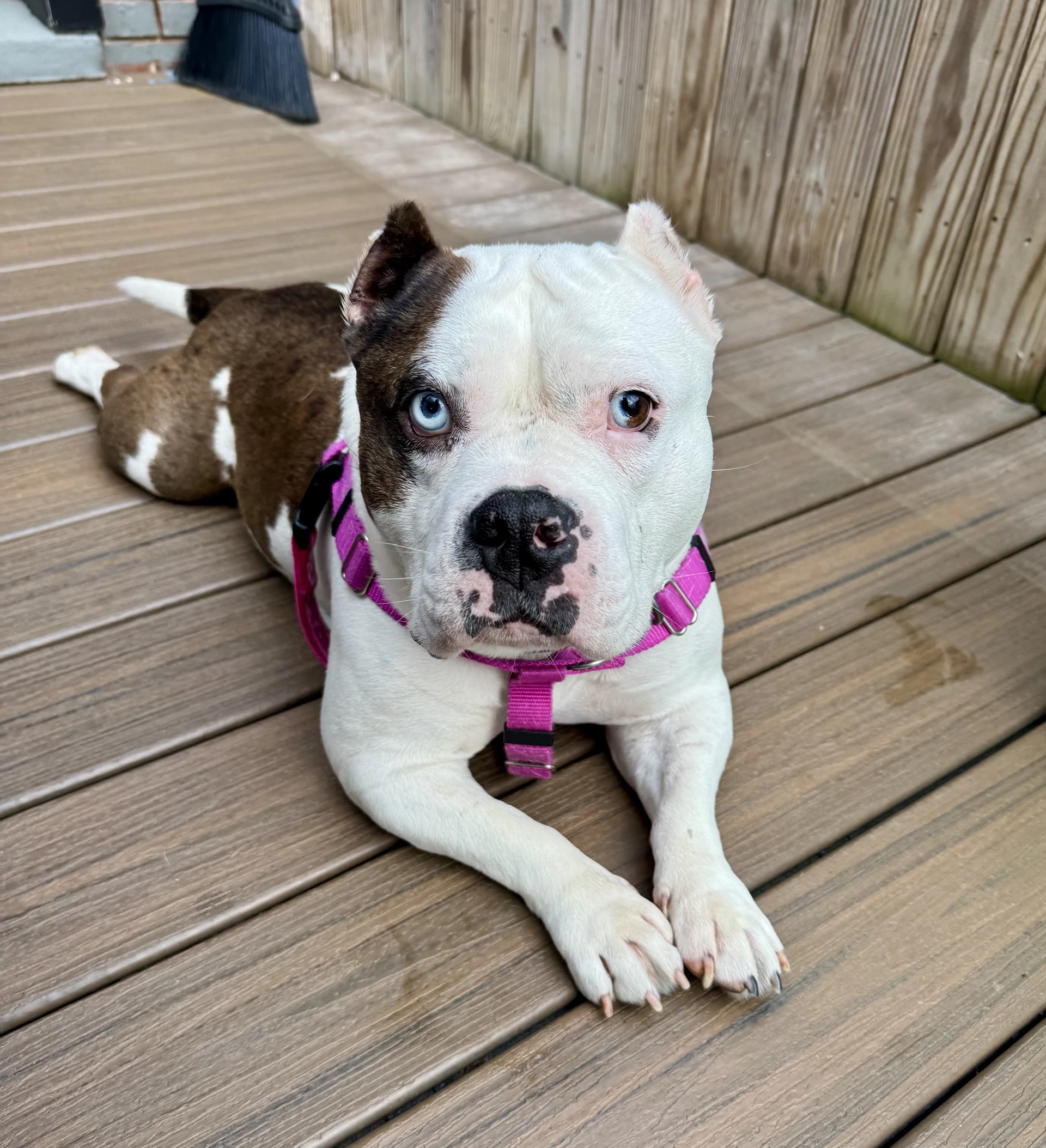 Tilly