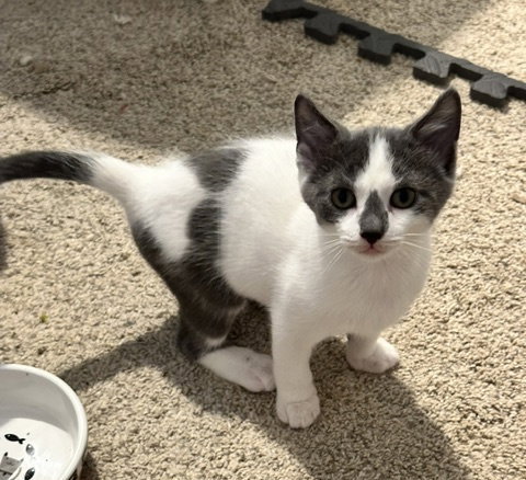 Monty photo 2