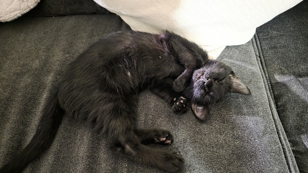 Berlioz, photo 3
