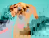 adoptable Dog in  named Darla
