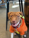 Patch - Photo 4