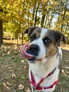 Molly - Photo 4