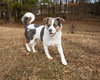 Molly - Photo 3