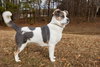 Molly - Photo 7