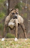 Hildy - Photo 2