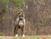 Hildy - Photo 3
