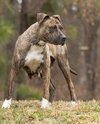 Hildy - Photo 4