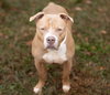 Spud - Photo 2