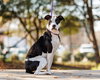 Deedee Marie - Photo 1
