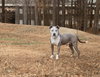 Champ - Photo 2