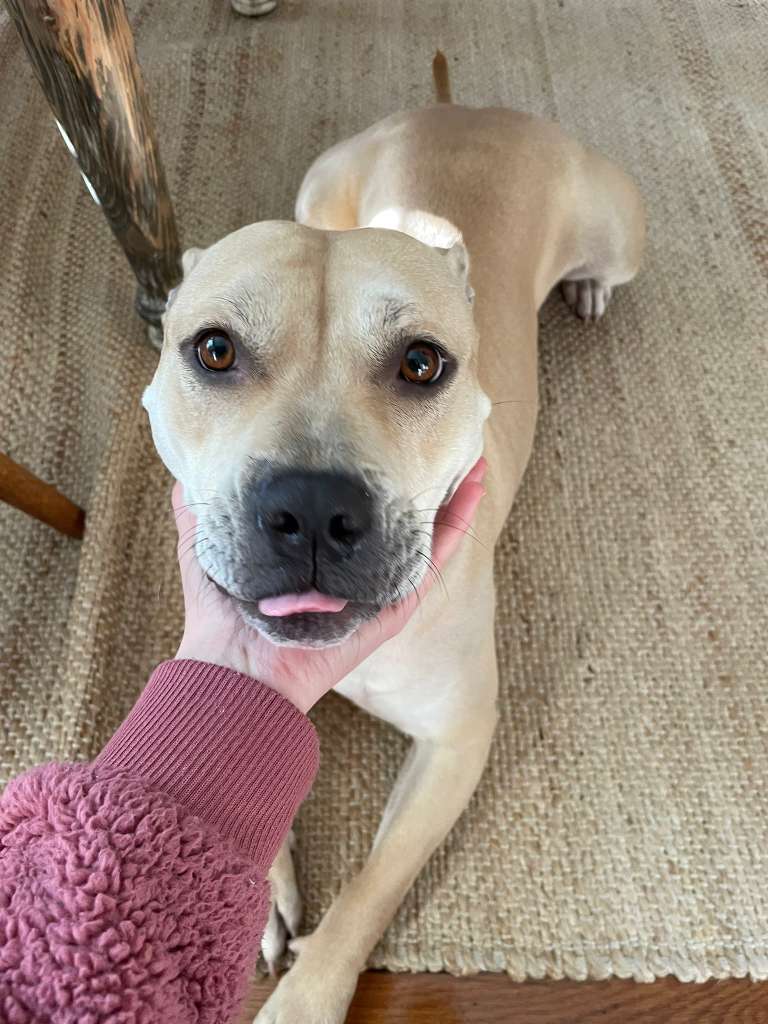 Daisy Mae
