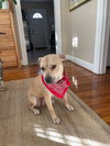 Daisy Mae - Photo 2