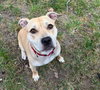 Daisy - Photo 1