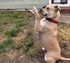 Daisy - Photo 3