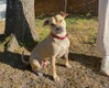 Daisy - Photo 5