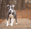 Fiona - Photo 1