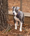 Fiona - Photo 2