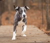 Fiona - Photo 3