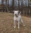 Rocco - Photo 3