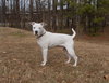 Rocco - Photo 4