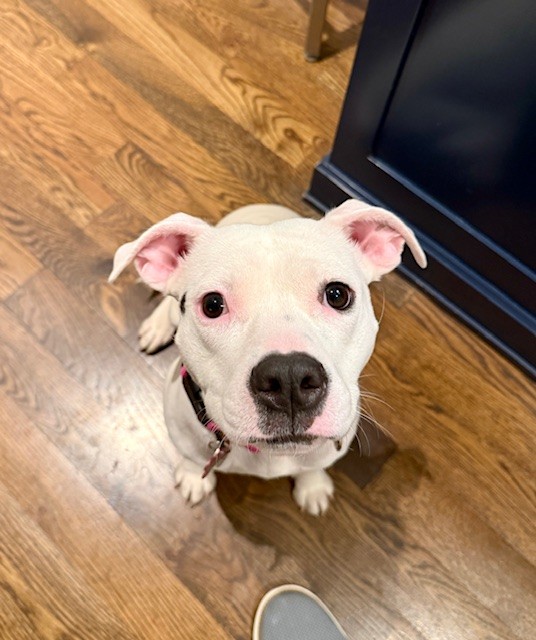 Lucy