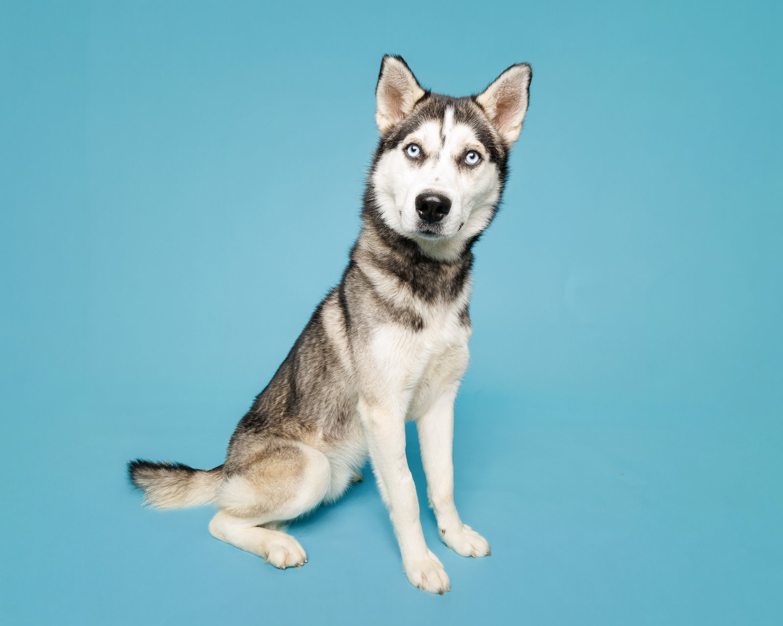 Flynn Image