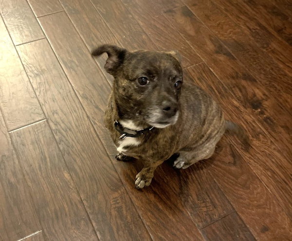 Max