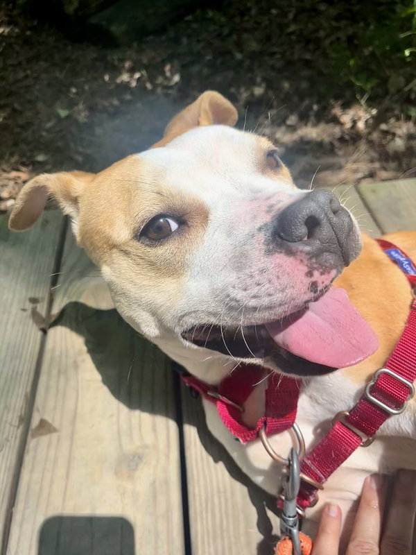 Scuba
