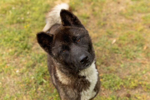 Paolo