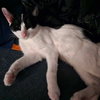 A TootyTa - Photo 3