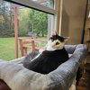 Dizzy - Photo 4
