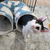 Dizzy - Photo 2