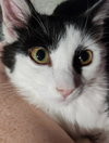 Dizzy - Photo 3