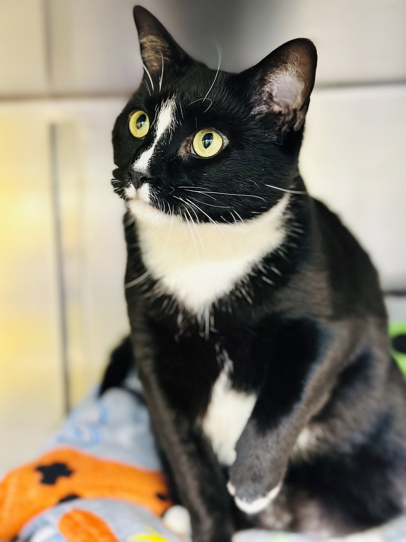 Salem