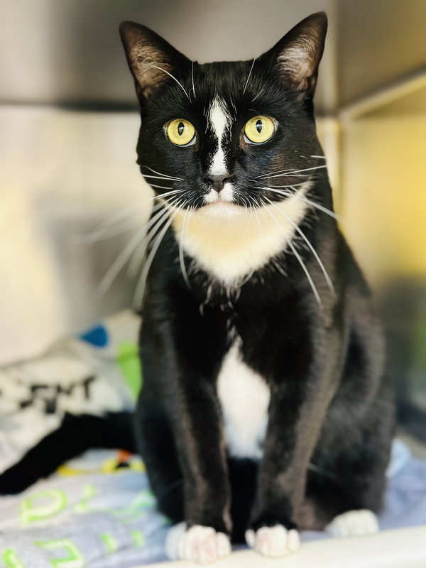 Salem