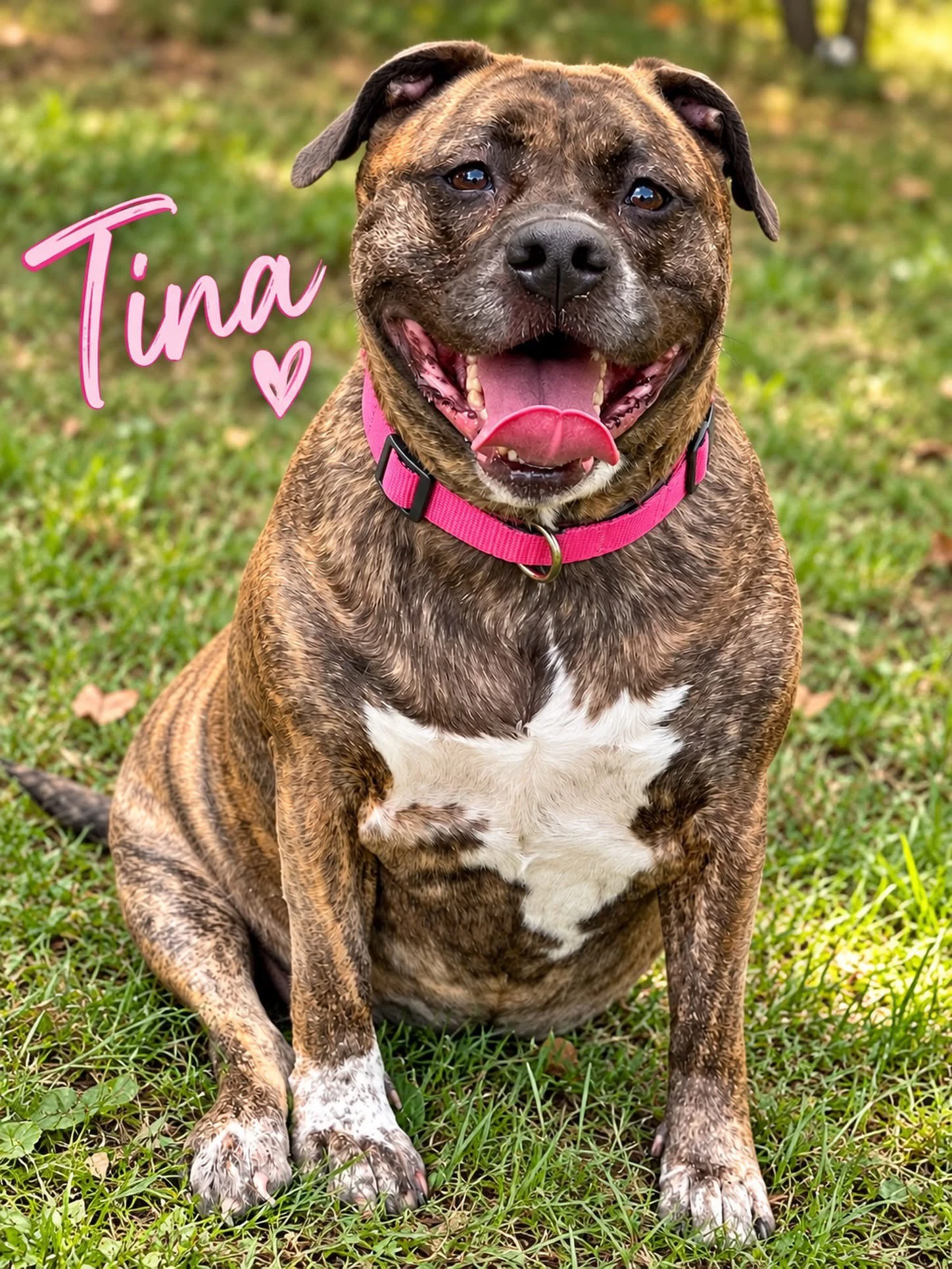 Tina