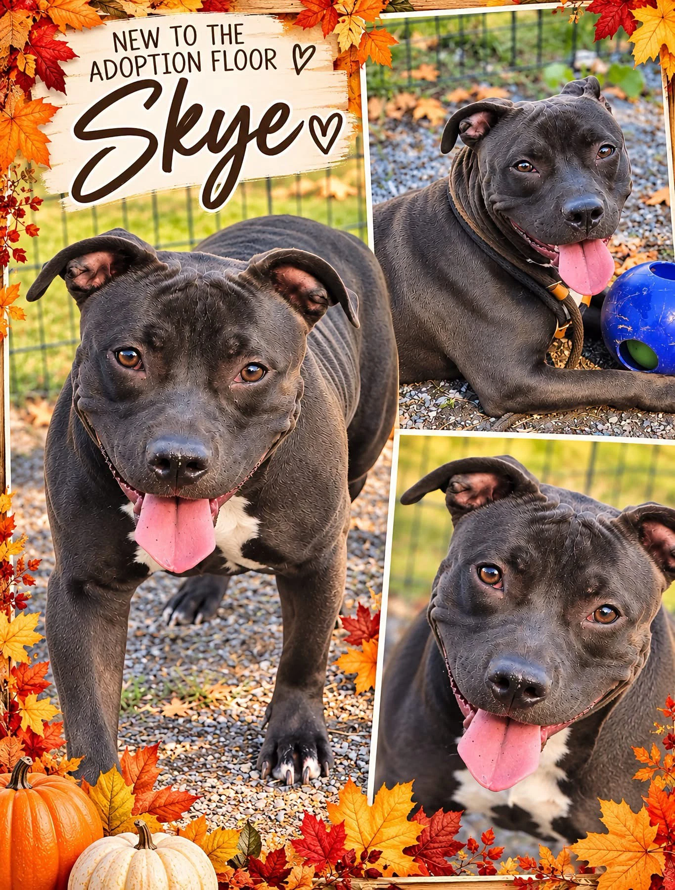 Skye