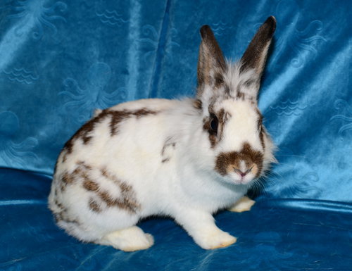 Photo 2 of Marcie