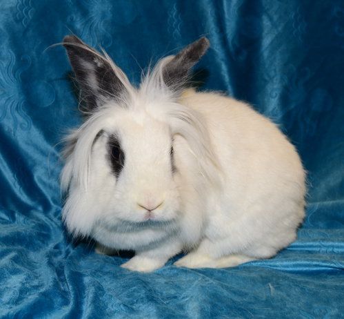 Photo 2 of Hilda
