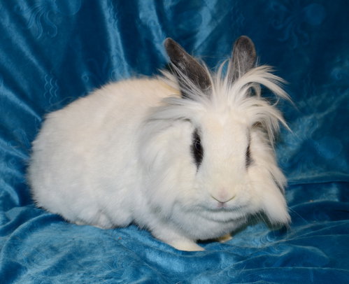 Photo 3 of Hilda