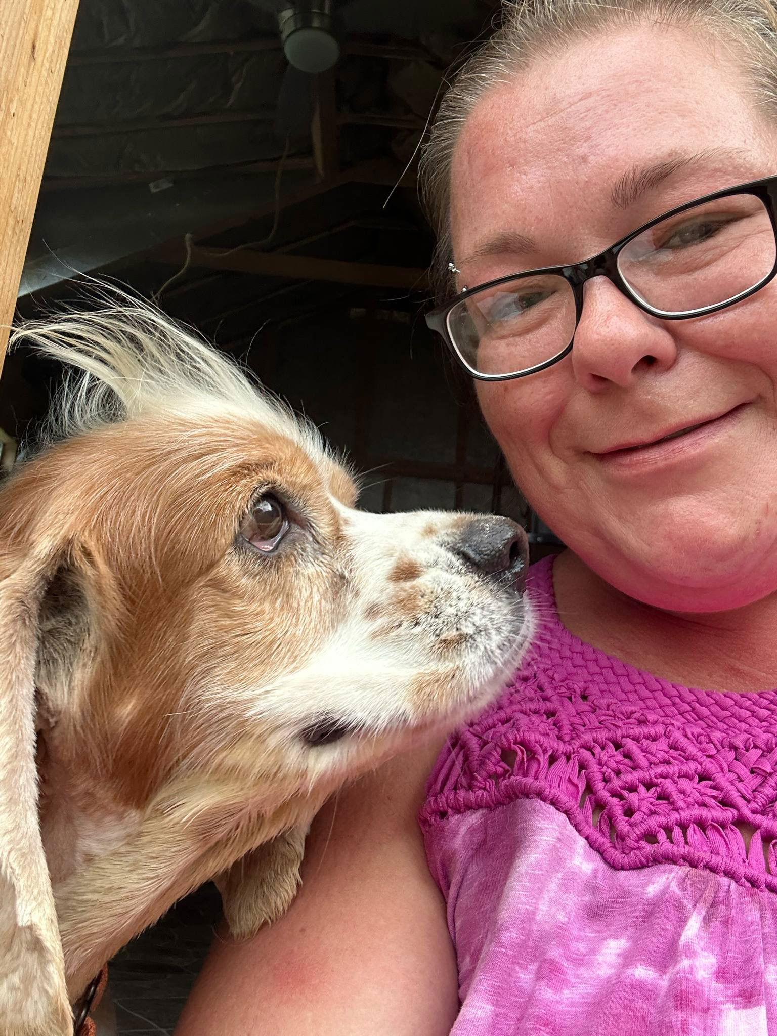 adoptable Dog in Berlin, MD named Ozzie