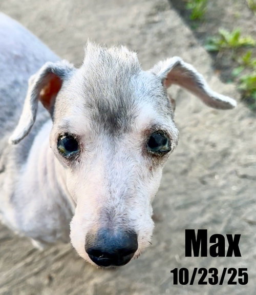 Max