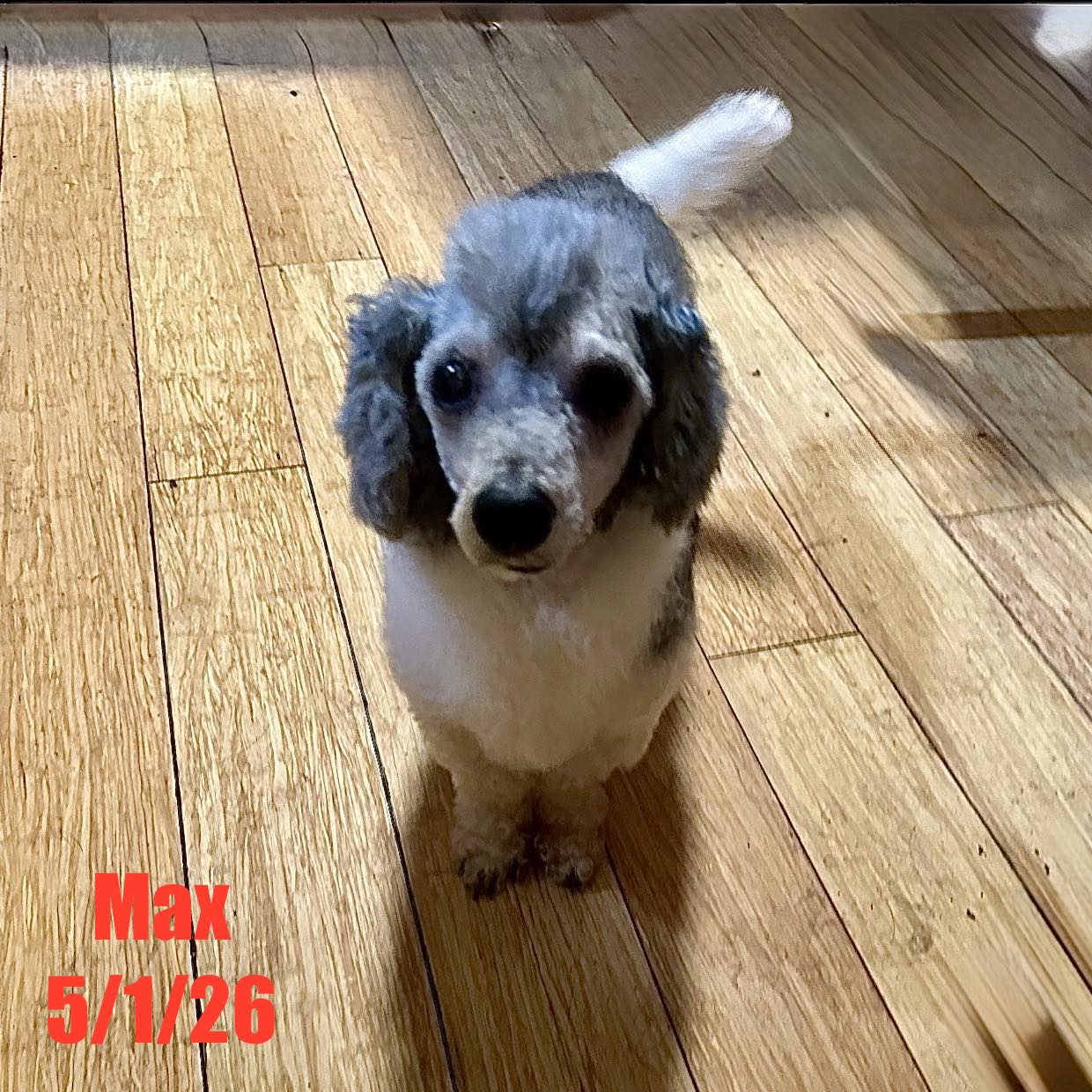 Max