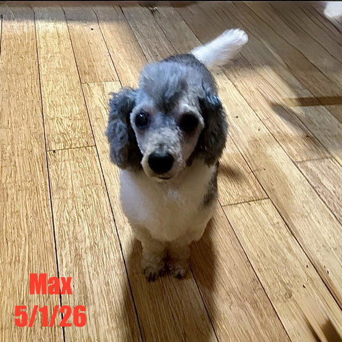 Max