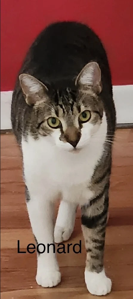Leonard